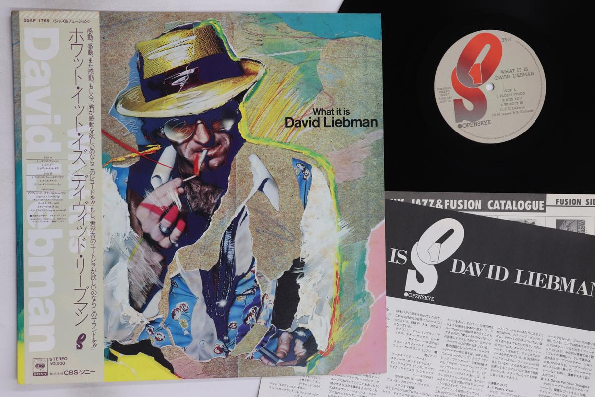 

LP Record DAVID LIEBMAN - What It Is 25AP1765OS OPENSKYE 1980 Japan Obi Jazz Used