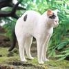 Oenux Siamese Devon Rex Sphynx Persian Cat Kitty Model Action Figure Figurine Cute Home Decoration Collection Kids Toy Gift