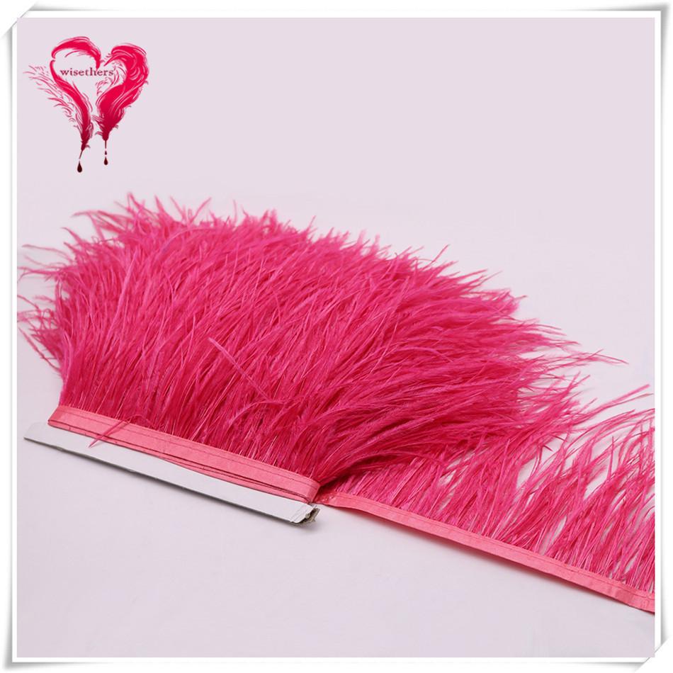 Ostrich Hair Cloth Edge Dress Dress Accessories Skirt Feather Trim With 10-15Cm Tassel