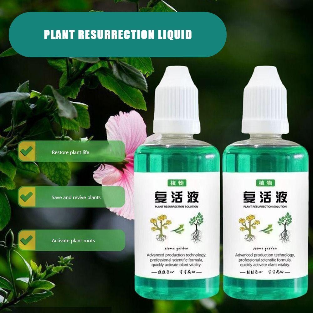 Root Stimulator Plant Resurrection Liquid Liquid Vegetable Fertilizer Root Booster Fruit Root Booster Rooting Nutrient