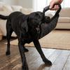 Linen Fabric Dog Bite Toy Square Shape Dog Training Toy Dog Fetch Toy  Bite Work Practice