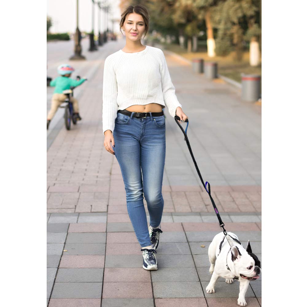 2M Pet Dog Leash, Suitable for Small and Medium-sized Dogs