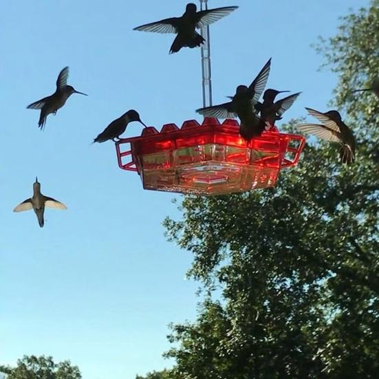2Pcs Hanging Hummingbird Feeders Saucer Style Bird Feeders with 30 Feeding Ports Ant Moat Bee-Proof Hummingbird Nectar Feeder for Outdoor Backyard