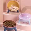 Feeding Dispenser Pet Comfort Feeding Bowl Tilted Elevated Bowl Pet Cat Dog Food Water Dish Backflow Prevention