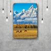 grand teton national park Funny Bar Metal Sign Retro Plaque Vintage Sign Alcohol Drinker Pub Club Kitchen Wall Decoration