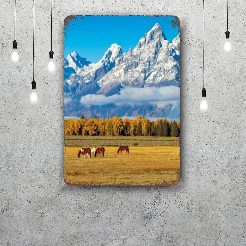 grand teton national park Funny Bar Metal Sign Retro Plaque Vintage Sign Alcohol Drinker Pub Club Kitchen Wall Decoration