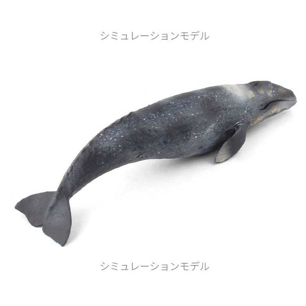 Sperm Whale Marine Animal Model Simulation Sea Life Figure Creative Whale Figurines Kids Toy