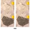Ice Silk Seamless Women's Underwear