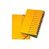 A4 Sorter - Pagna - 24131-05 - Cardboard - 12 Colored Tabs - Yellow