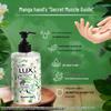 Lux Scented Antibacterial Hand Wash