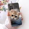 Transparent Case For Huawei Nova 15 Cover Cute Cat Fashion Butterfly Luxury Painted Casing For Huawei Nova15 PSN-AL00
