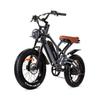 Wide Fat Tire 20 Inch Mountain Ebike Variable Speed Travel Retro Off Road Beach Motorcycle Power Electric Bicycle