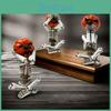 Feestviering – Halloween accessoires
