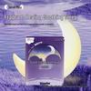 Good Night Steam Eye Mask - Soothing Fatigue Relief, Hot Compress, Light Fragrance for Better Sleep