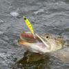 Fishing Lure Countdown Calendars 24 Days Fish Accessories Countdown Calendars Christmas Fishing Tackle Lure Gear Set For Adult
