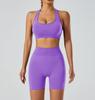 Yoga Outfit Women Seamless High Elastic Shorts Sports Bra Set With Moisture Wicking For Fitness And Running