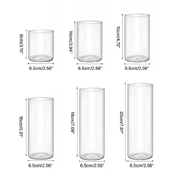 Vase en verre transparent Cylindres en verre Vase adapté à divers arrangements