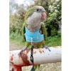 Bird Flight Harness Vest, Parrot Flight Suit with Leash for Parakeets Cockatiels Conures Budgies, Bird Flying Clothes with Rope and Handle for