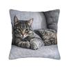 Cat Nap Artistic Design Pillow Case Kawaii Pillow Cover Comfy Pillowcases For Sofa Home Decor