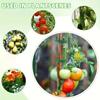 100PCS Plant Support Clips, Reusable Garden Plant Ties for Tomatoes, Cucumbers, Vines and Flowers