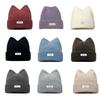 Floppy Cat Ear Beanie for Students Adult Windproof Foldable Winter Hat Thicken Harajuku Beanie with Letter Decals