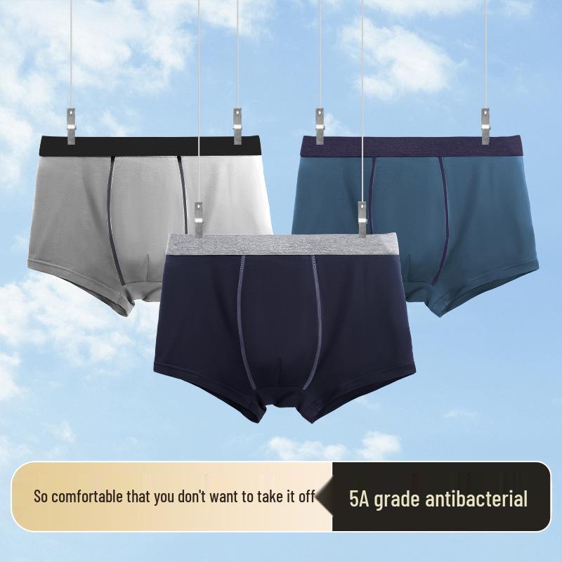 Men's Modal Cotton Plus Size Athletic Briefs Shorts