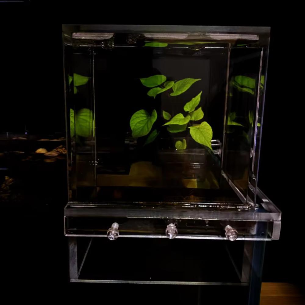 Easy to Install Acrylic Suspended Fish Tank Vacuum Suspension Fish Tank  Ecological Creativity