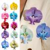 1/10Pcs 3D Butterfly Orchid Brooch Simulation Elegant Plants Brooch For Women Girls Pretty Flowers Jewelry Clothes Backpack Pins