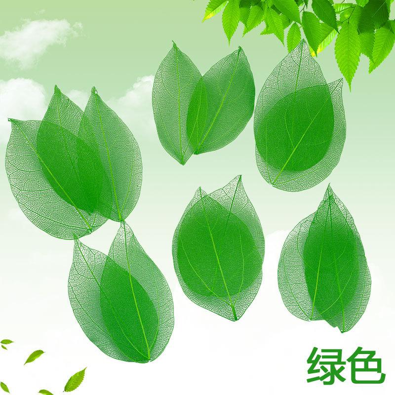 Dried Flowers Natural Skeleton Leaf Vein DIY Handmade Materials Nail Art Flowers Material for Wedding Party Home Decor-20/24pcs