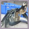 Overlord Albedo Anime Girl Figure Pajamas Kneeling Position Model Statue for Boys Collection Desktop Decoration Toy