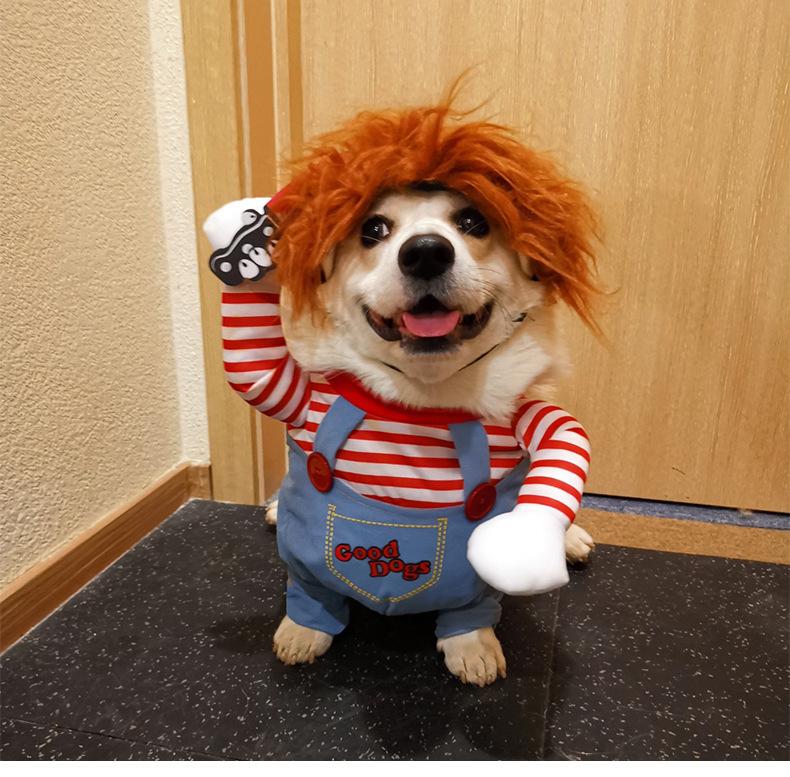 Halloween Dog Costume, Pet Transformation Dress, Festival, Funny Knife Holding Dog Clothes, Cat Standing Dress, Pet Costume