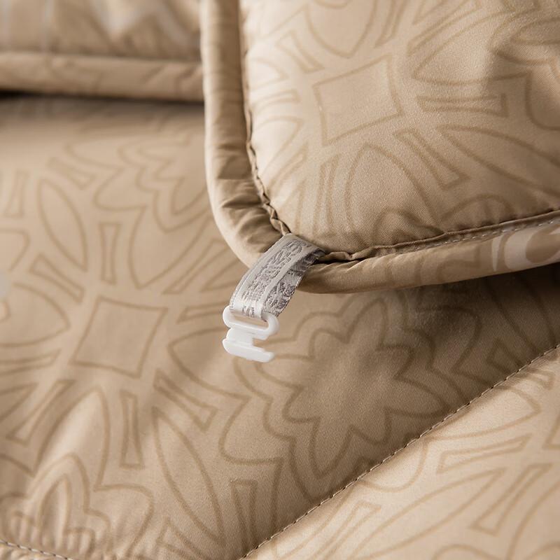 Thickened Warm Camel Wool Winter Quilt