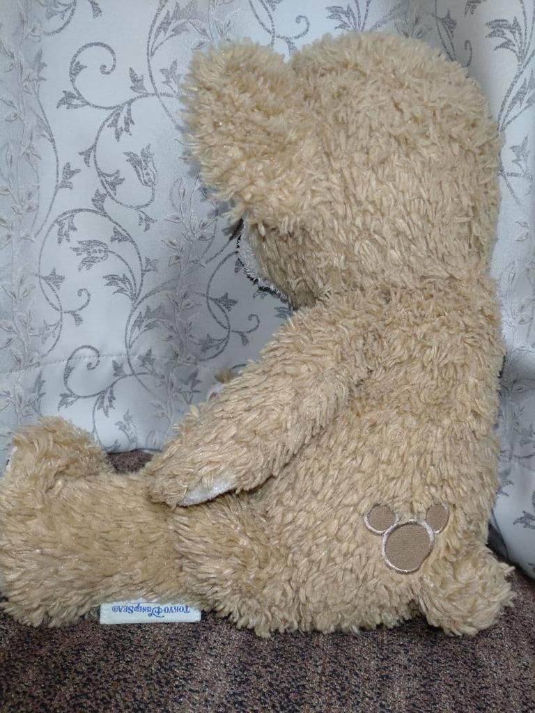 [USED] Teddy bear plush toy (Disney)