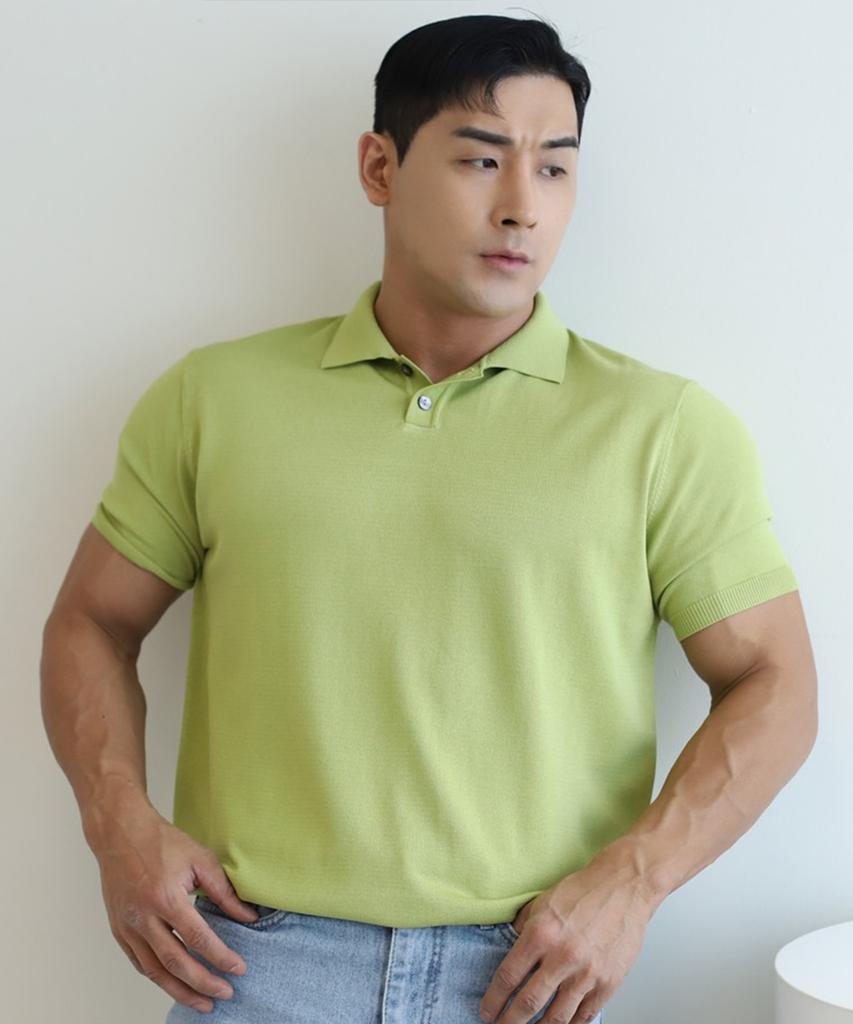 BOASTFIT Ice Collared Short Sleeve Knit