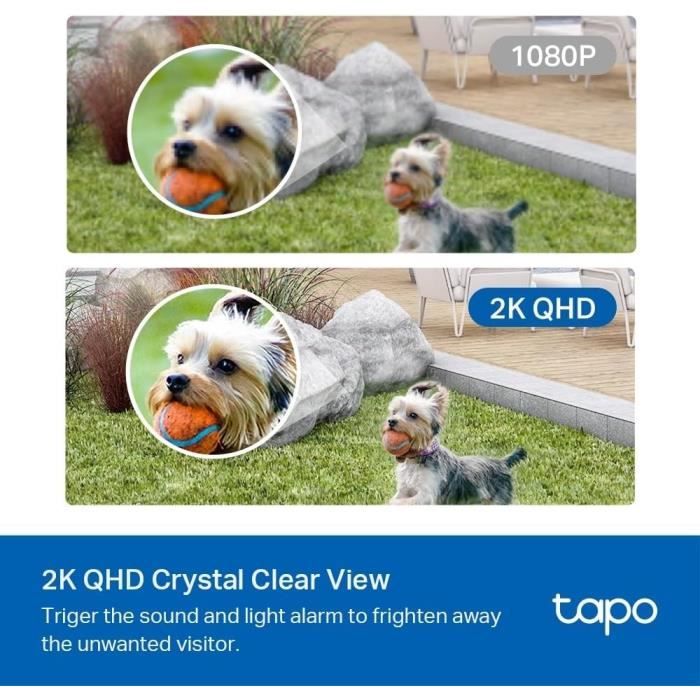 TPLINK Tapo C420S1 V1