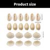 1 Set Beach Conch Shells with Hole Craft Shells Natural Shell Beads Crafting Supplies for Bracelet Jewellery Making
