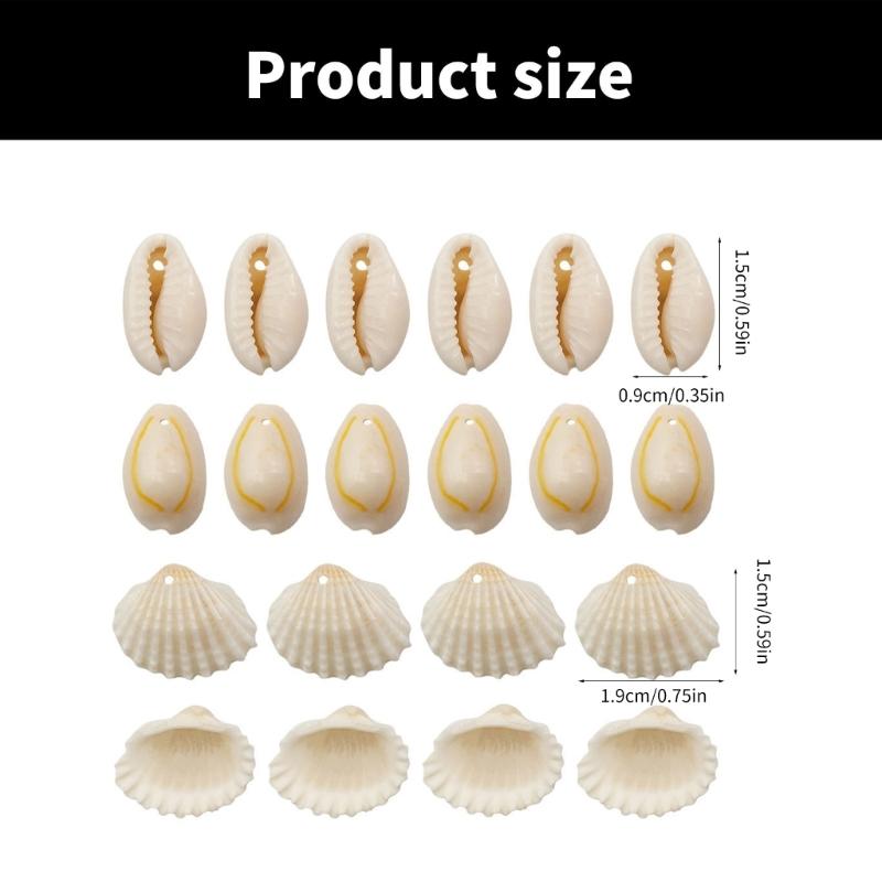 1 Set Beach Conch Shells with Hole Craft Shells Natural Shell Beads Crafting Supplies for Bracelet Jewellery Making