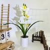 Cymbidium Rolfe Faberi Flusssteine Bonsai Simulierte Blume Topf Für Deko Hotel