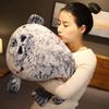 Seal doll simulation seal doll throw pillow aquarium souvenir plush toy