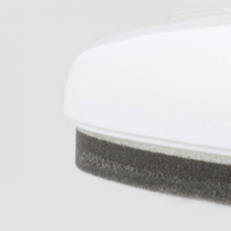 Daiso Glossy Shoe Polish  Colorless 