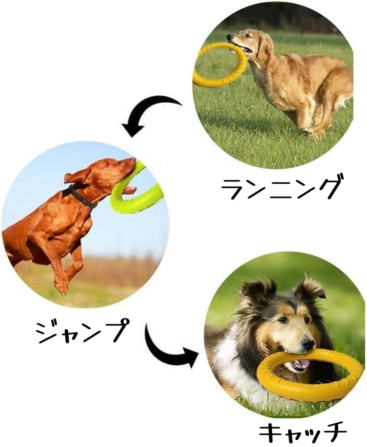 MUYYIKA Hundewurf-Kauspielzeug Langlebiges Hundespielzeug und Medium Hund Zahnspielzeug Fitnessring Runder Frisbee Leicht und Langlebig Intelligenztraining Mangel