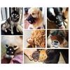 Small Large Dogs Anti-Biting Secure Dog Muzzle Dog Prevention Supplies Pet Mouth Cover Mouth Mask