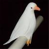 Close-Up Latex Dove Magic Tricks Mentalism  Super Latex Dove   Children Toys