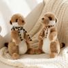 Bebek ve Peluş Oyuncaklar – Doldurulmuş ve Peluş oyuncak hayvanlar