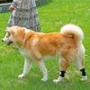 Pet Knee Pads Dog Leg Injury Aid Anti-Licking Light Joint Bandage Dog Knee Pads Injury Cover