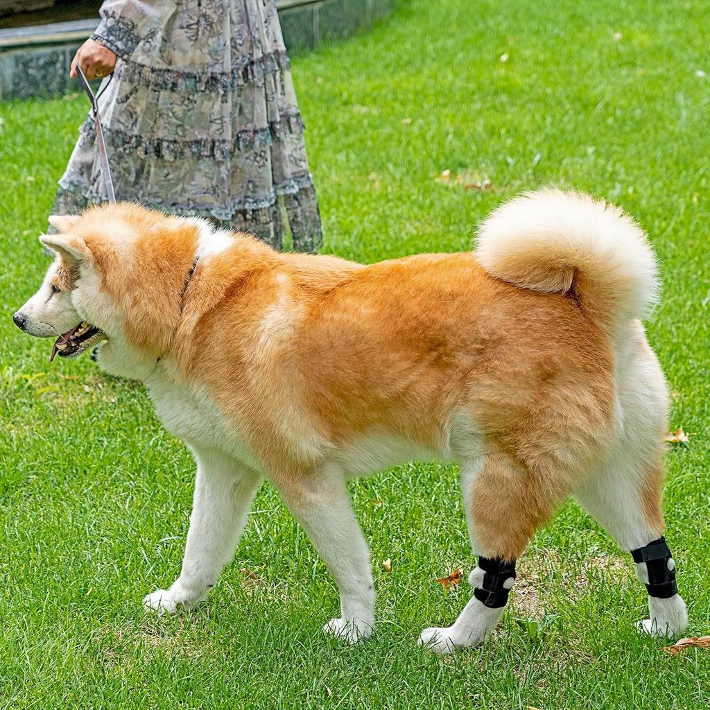 Pet Knee Pads Dog Leg Injury Aid Anti-Licking Light Joint Bandage Dog Knee Pads Injury Cover