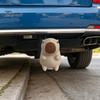 Capybara Anhängerkupplungsabdeckung 3D Gedruckte Abdeckung, Dekorative Anhänger Staubkappe, 50mm Anhängerkupplungsschutz, Wohnmobil LKW Zubehör Geländewagen