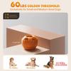Dog Interactive Boredom Treat Molds Silicone Healthy Treats for Puppy Enrichment Chew Toy