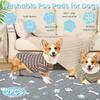 2Pcs Dog Pee Pad Reusable Absorbent Puppy Training Pad Multi purpose Non-slip Guinea Pig Cage Liner Pet Supplies for Home Travel