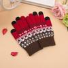 New Touch Screen Gloves Are Piled and Thickened, Winter Jacquard Warm Gloves, Men's and Women's Gloves.